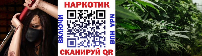 Купить наркоту Новозыбков A PVP  kraken вход  ГАШИШ  Конопля  Меф мяу мяу 