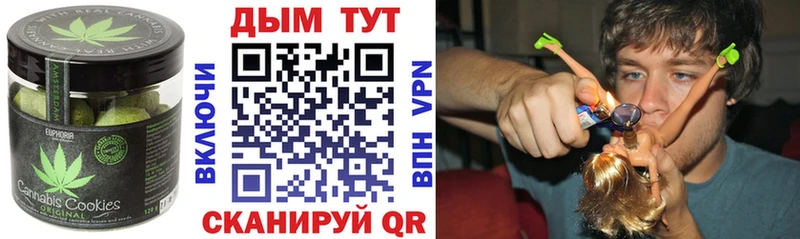 где купить наркоту  hydra как войти  Печенье с ТГК марихуана  Новозыбков 