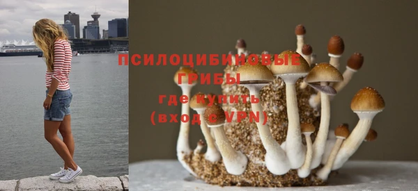 альфа пвп Липки