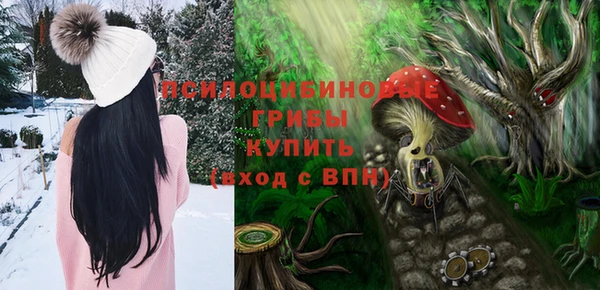 молекула духа Магас