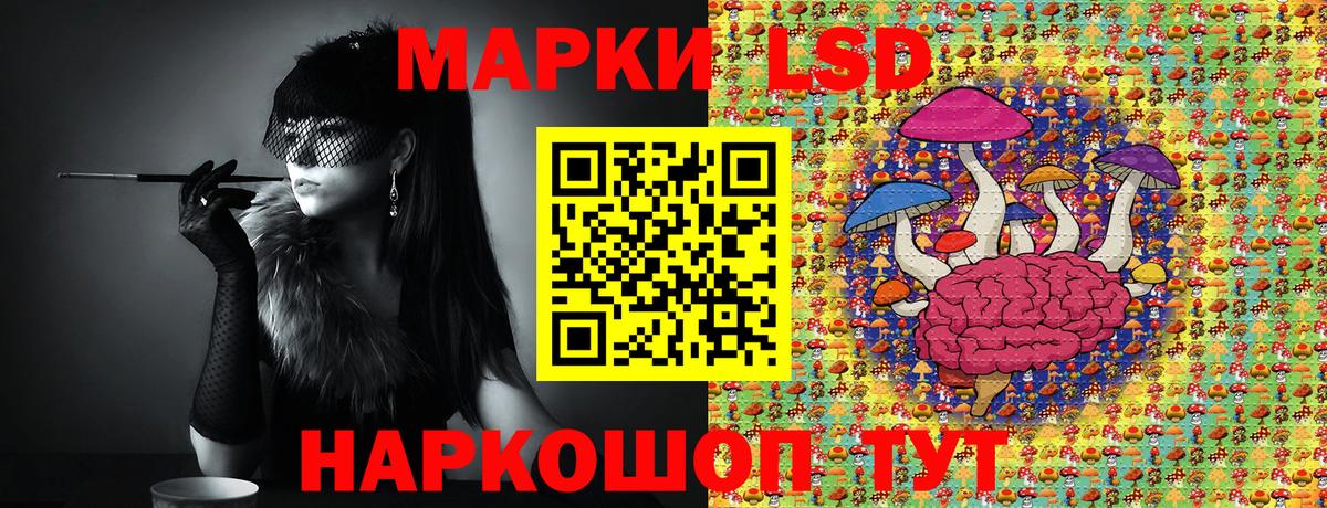 Новозыбков  Наркотические марки 1,8мг  Наркотические марки 1,8мг  Марки N-bome  где найти   Вход с VPN 