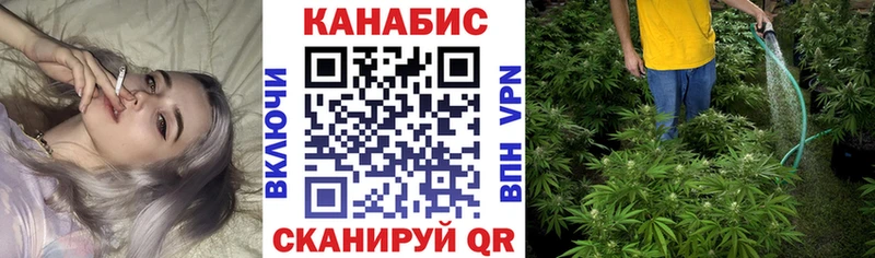 Конопля план  Новозыбков 